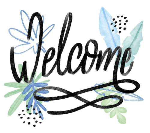 Welcome to our new Website! - Barefoot Orchids
